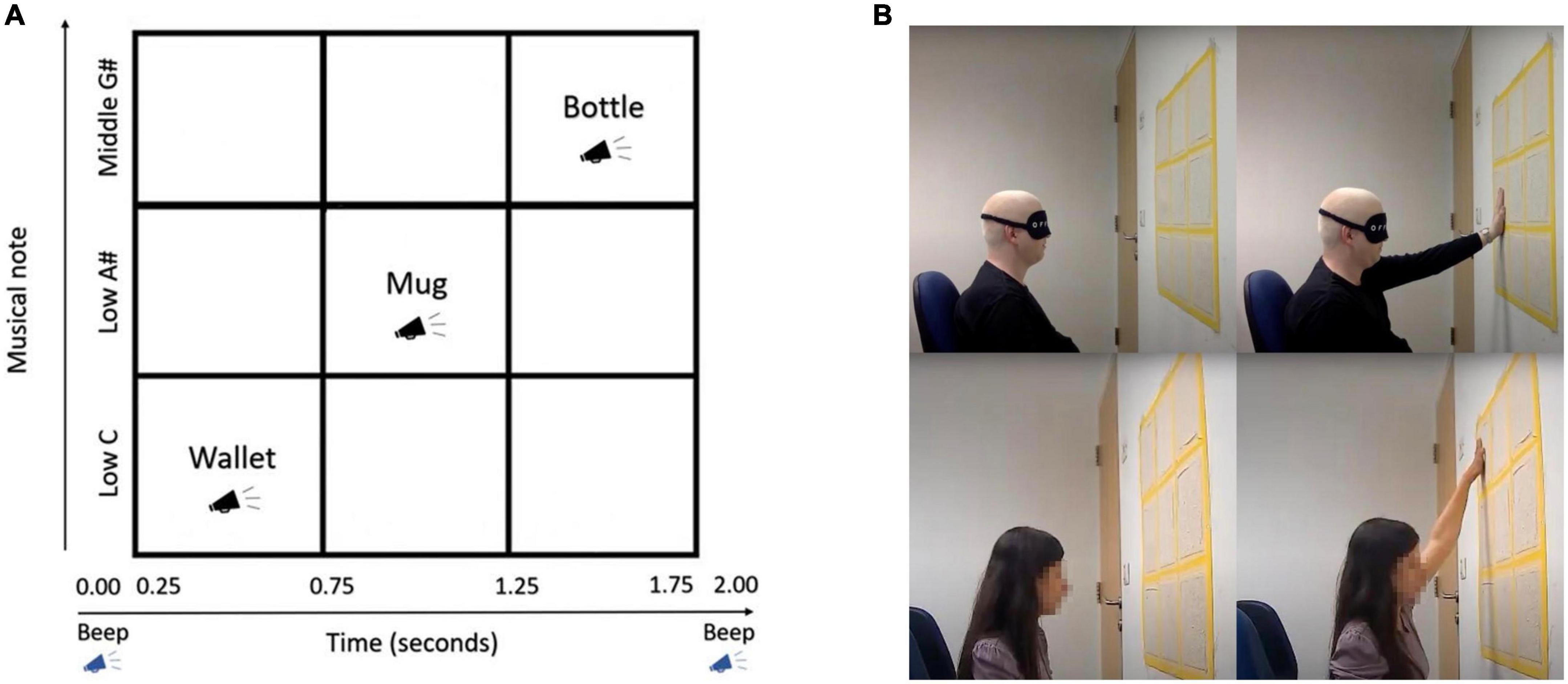 The Topo-Speech sensory substitution system as a method of conveying spatial information to the blind and vision impaired